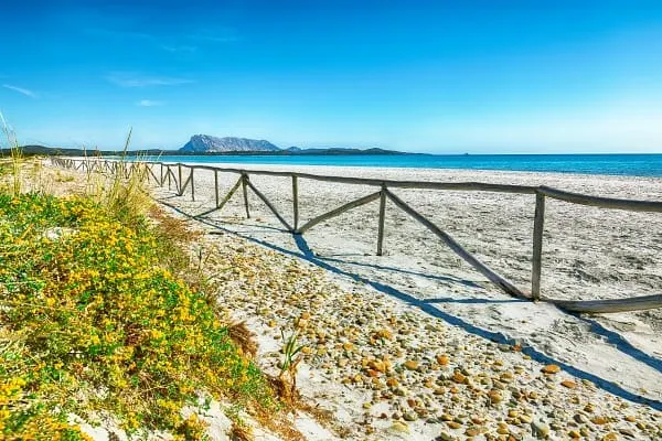 Scopri Olbia Sa Pintadera