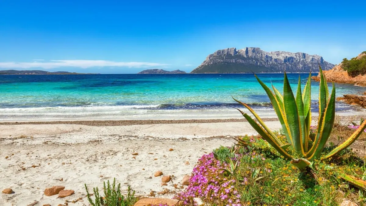 Scopri Olbia Sa Pintadera